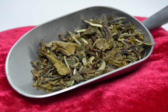 Bai mu dan - Thé blanc nature Bio