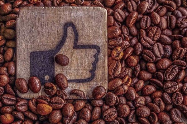 l’artisanes est presente sur les reseaux sociaux facebook instagram twitter l'artisanes est presente sur les reseaux sociaux facebook instagram twitter