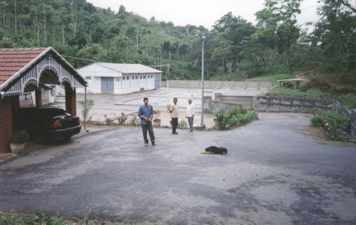 Ganesh estate plantation Inde par l'Artisanes