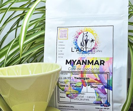 Three Khuns café Myanmar nature 2025