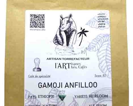 Gamoji Anfilloo café Ethiopie nature bio