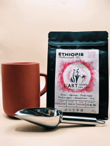 Mohamed Ali café Ethiopie nature 2026