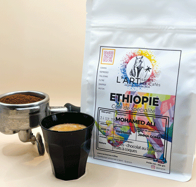 Mohamed Ali café Nature Ethiopie 2025