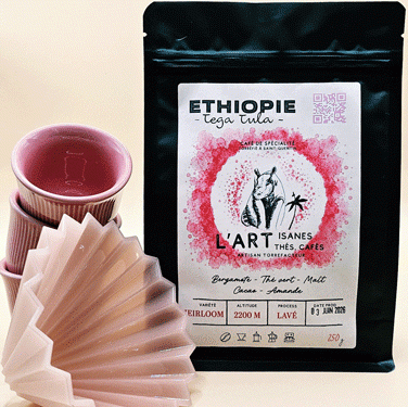 Tega-Tula-café-Ethiopie-lavé-2026