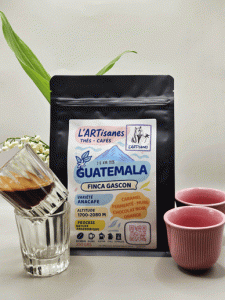 Finca-Gascon-Café-Guatemala-Nature-Anaérobie-by-Lartisanes