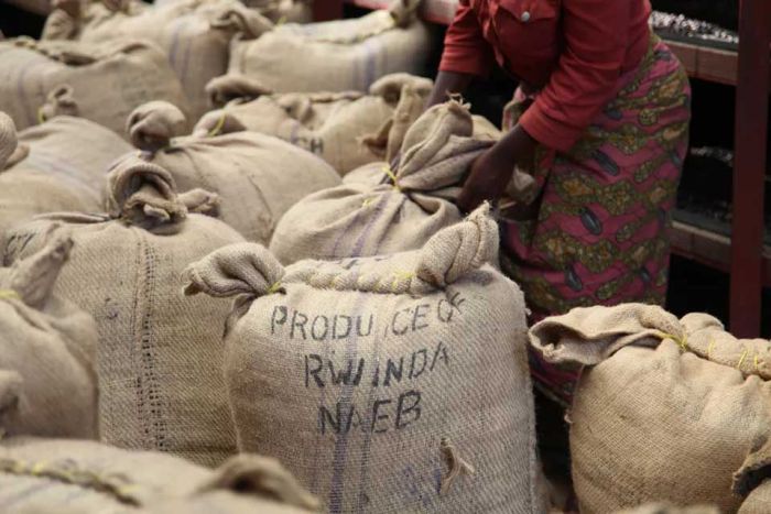 Rwanda titus sacs de café