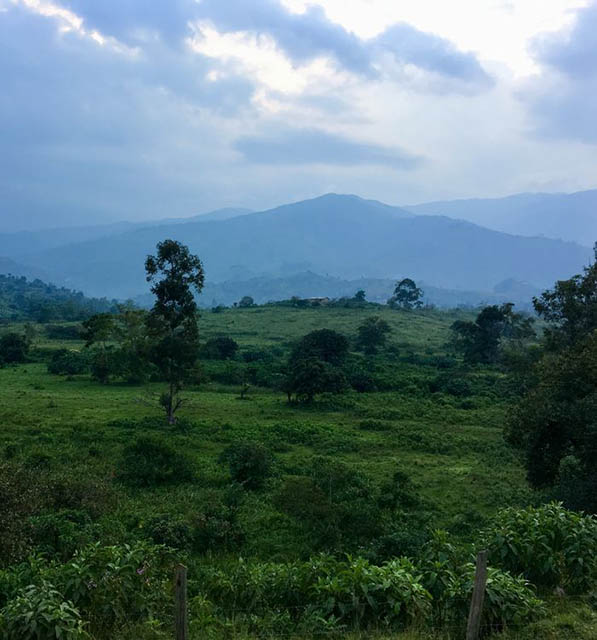 Maliba Mont Rwenzori Ouganda