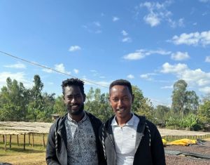 DWD Producteurs café Ethiopie par l'Artisanes