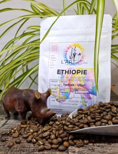 Nekemte Torban Ethiopie 2025