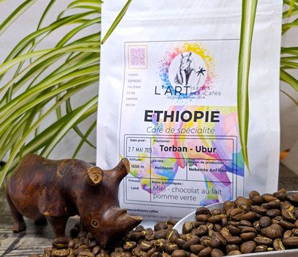 Nekemte Torban Ethiopie 2025