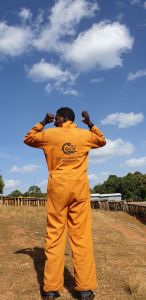 Guji Shakiso producteurs
