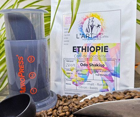 Odo Shakiso Ethiopie 2025