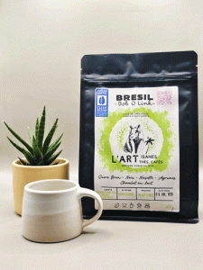 Bob-o-Link-café-Brésil-Nature-à-la-voile-2026