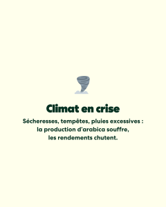 2_Causes augmentation prix